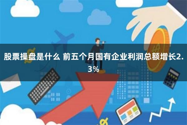 股票操盘是什么 前五个月国有企业利润总额增长2.3%