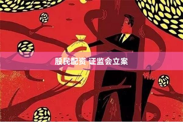 股民配资 证监会立案