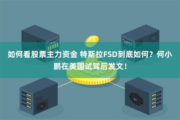 如何看股票主力资金 特斯拉FSD到底如何？何小鹏在美国试驾后发文！