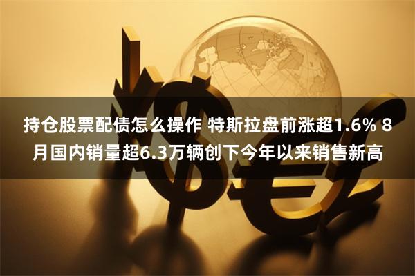 持仓股票配债怎么操作 特斯拉盘前涨超1.6% 8月国内销量超6.3万辆创下今年以来销售新高